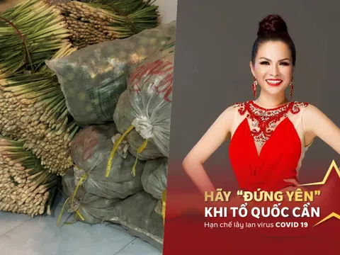 Hoa hậu Lê Thanh Thúy dành tặng hơn 14 tấn chanh, sả, gừng và thực phẩm hỗ trợ người dân chống dịch