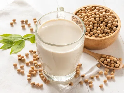 Uống sữa đậu nành có gây vô sinh?
